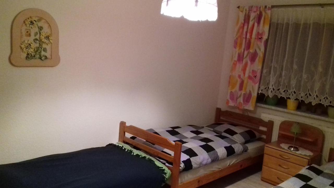 Ferienhaus Johanna & Ferienwohnung Thum Weischlitz Zewnętrze zdjęcie